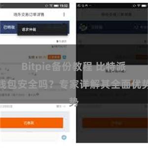 Bitpie备份教程 比特派钱包安全吗？专家详解其全面优势