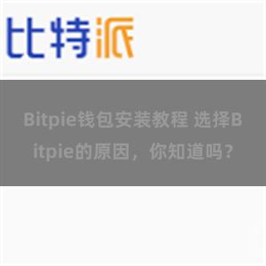 Bitpie钱包安装教程 选择Bitpie的原因，你知道吗？