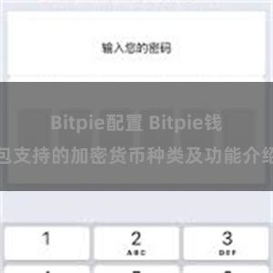 Bitpie配置 Bitpie钱包支持的加密货币种类及功能介绍