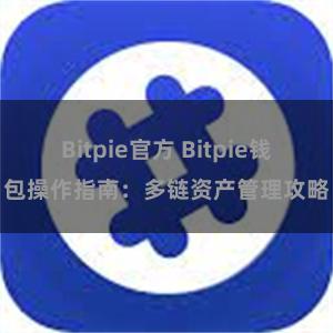 Bitpie官方 Bitpie钱包操作指南：多链资产管理攻略