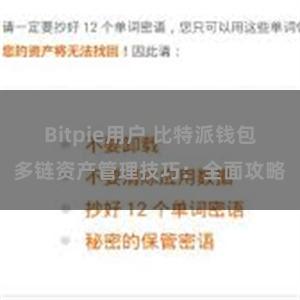 Bitpie用户 比特派钱包多链资产管理技巧：全面攻略