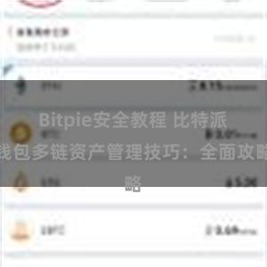 Bitpie安全教程 比特派钱包多链资产管理技巧：全面攻略