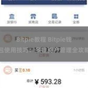 Bitpie教程 Bitpie钱包使用技巧：多链资产管理全攻略