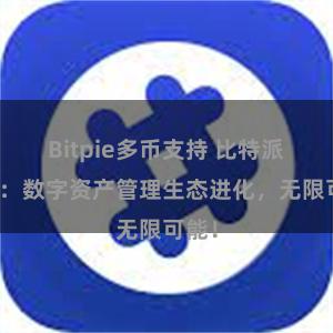 Bitpie多币支持 比特派钱包：数字资产管理生态进化，无限可能！