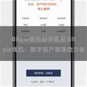 Bitpie钱包新手教程 Bitpie钱包：数字资产管理助力者