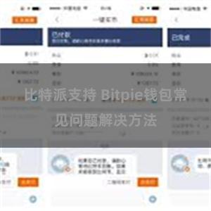 比特派支持 Bitpie钱包常见问题解决方法