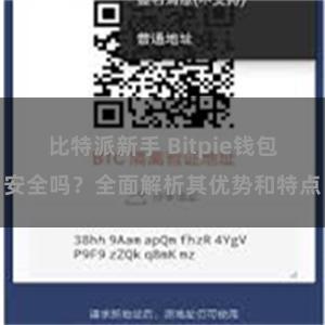 比特派新手 Bitpie钱包安全吗？全面解析其优势和特点