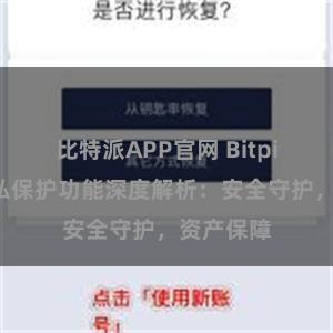 比特派APP官网 Bitpie钱包隐私保护功能深度解析：安全守护，资产保障