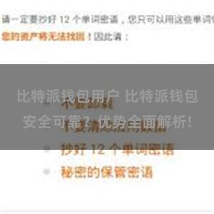 比特派钱包用户 比特派钱包安全可靠？优势全面解析!