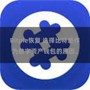 Bitpie恢复 选择比特派作为数字资产钱包的原因。