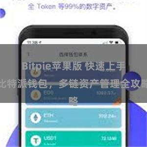 Bitpie苹果版 快速上手比特派钱包，多链资产管理全攻略