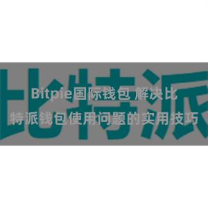 Bitpie国际钱包 解决比特派钱包使用问题的实用技巧