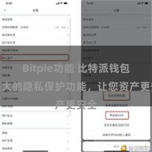 Bitpie功能 比特派钱包：强大的隐私保护功能，让您资产更安全