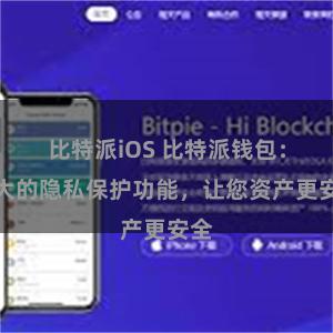 比特派iOS 比特派钱包：强大的隐私保护功能，让您资产更安全