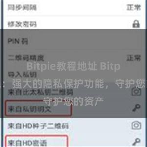 Bitpie教程地址 Bitpie钱包：强大的隐私保护功能，守护您的资产