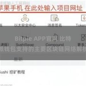 Bitpie APP官网 比特派钱包支持的主要区块链网络解析