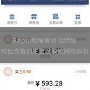 Bitpie教程官网 比特派钱包支持的主要区块链网络解析