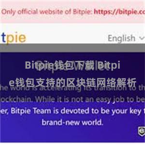 Bitpie钱包下载 Bitpie钱包支持的区块链网络解析