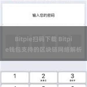 Bitpie扫码下载 Bitpie钱包支持的区块链网络解析