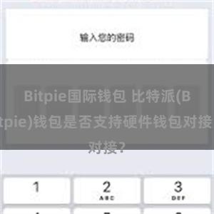 Bitpie国际钱包 比特派(Bitpie)钱包是否支持硬件钱包对接？