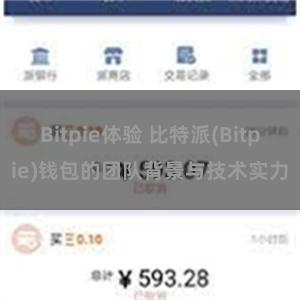 Bitpie体验 比特派(Bitpie)钱包的团队背景与技术实力