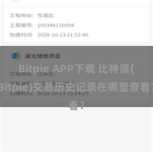 Bitpie APP下载 比特派(Bitpie)交易历史记录在哪里查看？