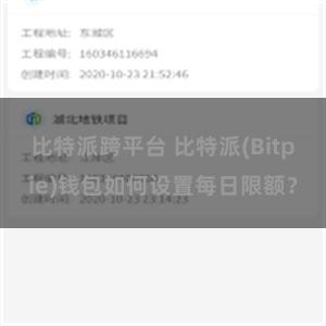 比特派跨平台 比特派(Bitpie)钱包如何设置每日限额？