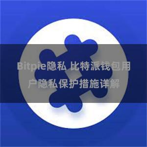 Bitpie隐私 比特派钱包用户隐私保护措施详解