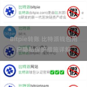 Bitpie转账 比特派钱包用户隐私保护措施详解