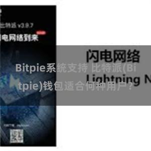 Bitpie系统支持 比特派(Bitpie)钱包适合何种用户？