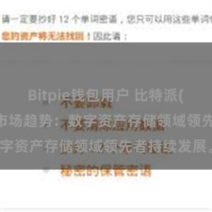 Bitpie钱包用户 比特派(Bitpie)钱包市场趋势：数字资产存储领域领先者持续发展。