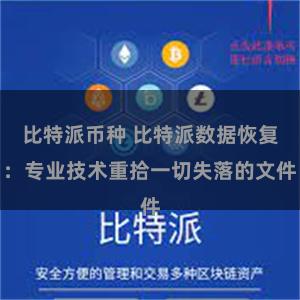 比特派币种 比特派数据恢复：专业技术重拾一切失落的文件