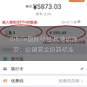 Bitpie国际钱包 比特派加密：数据安全的新标准