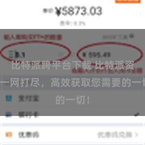 比特派跨平台下载 比特派资源一网打尽，高效获取您需要的一切！