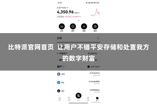 比特派官网首页  让用户不错平安存储和处置我方的数字财富