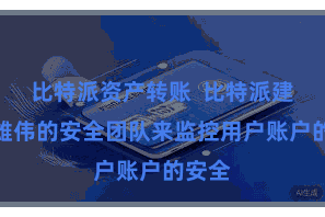 比特派资产转账  比特派建立了雄伟的安全团队来监控用户账户的安全