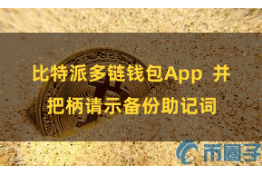 比特派多链钱包App  并把柄请示备份助记词