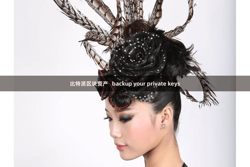 比特派区块资产   backup your private keys